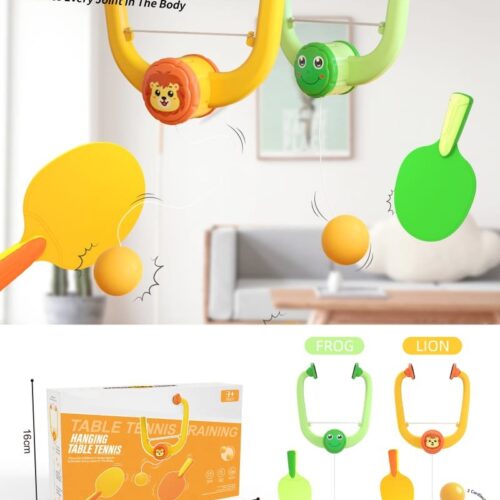 Alternative view of HANGING PING PONG 
GAME