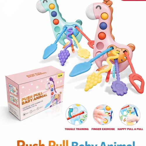 Push Pull Baby Toy - KLQ2100-1